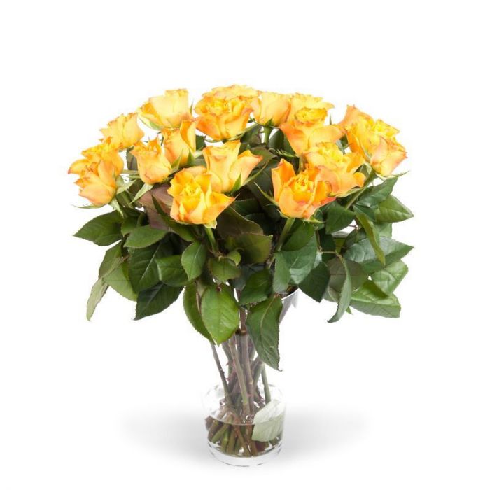 Omleiden Voorgevoel Beraadslagen Oranje rozen bestellen en laten bezorgen in Nederland?