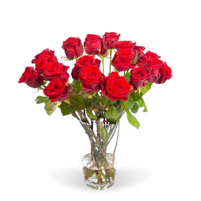 Ook Monica tv Bos rode rozen bestellen en vandaag bezorgen