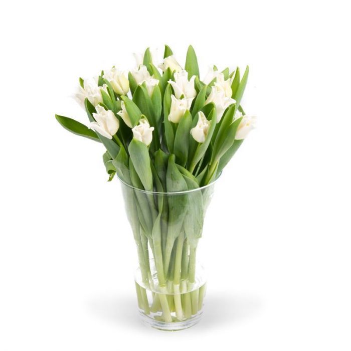Bekentenis kosten Nederigheid Witte Tulpen bestellen | Geschikt voor elk moment