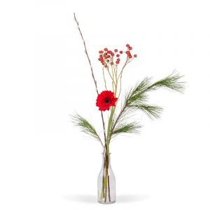 Bungalow handelaar tafereel Kerstbloemen bezorgen | Ruim kerstaanbod | Bloomgift