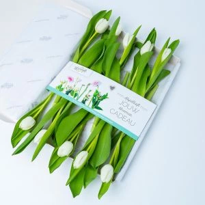 Witte tulpen per post  in brievenbus cadeauverpakking