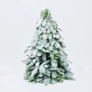 Kerstboom met sneeuw