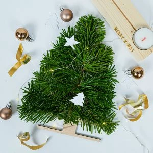 Mini kerstboompje op houten plankje - kerst brievenbus cadeau