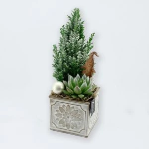 Picea kerstcreatie 