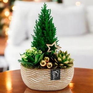 Picea Kerststuk incl. Pot 