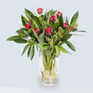 Rood tulpenboeket met groene skimmia's